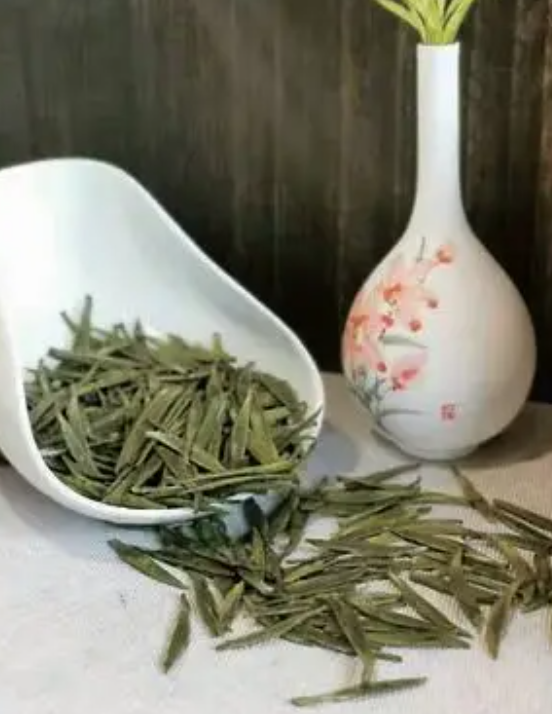 南川大树茶：金佛山里的古树气